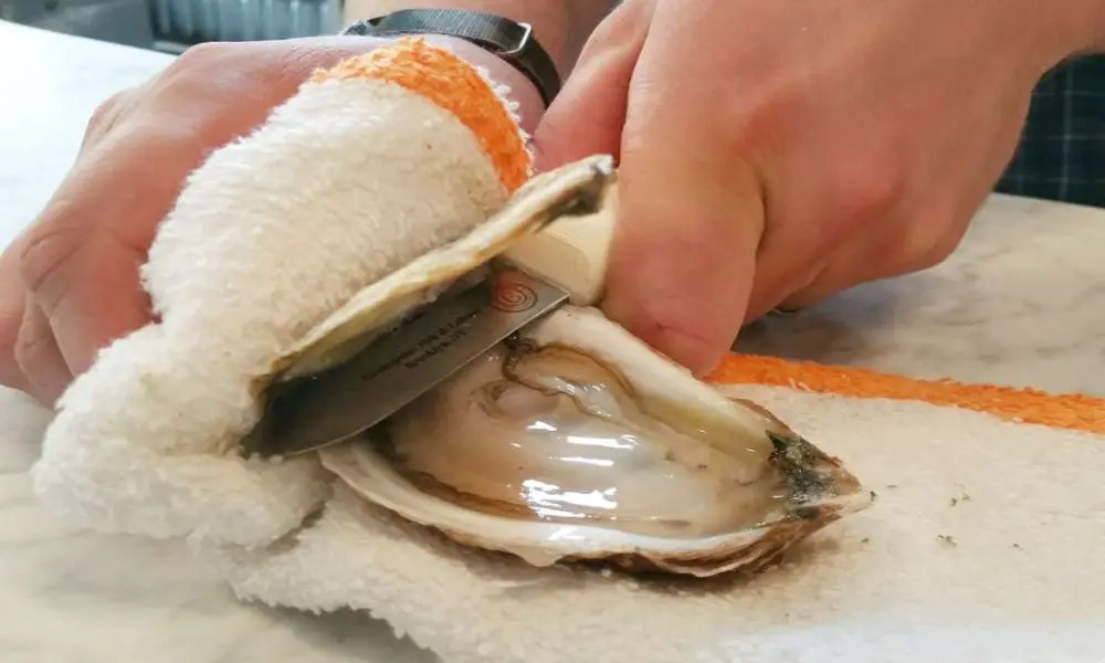 The Best Oyster Shucking Knife For Seafood Lovers!