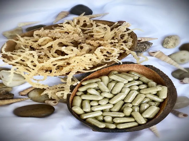 Let’s Find Out Best Sea Moss Capsules For Boosting Energy Levels!