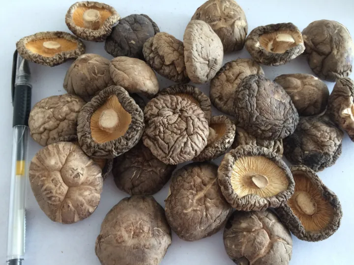 dry shiitake mushroom