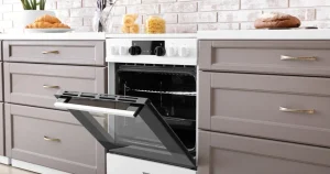 best electric oven