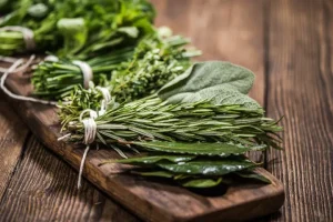 How to Dry Fresh Herbs the Right Way