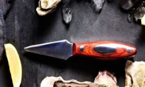 The Best Oyster Shucking Knife For Seafood Lovers!