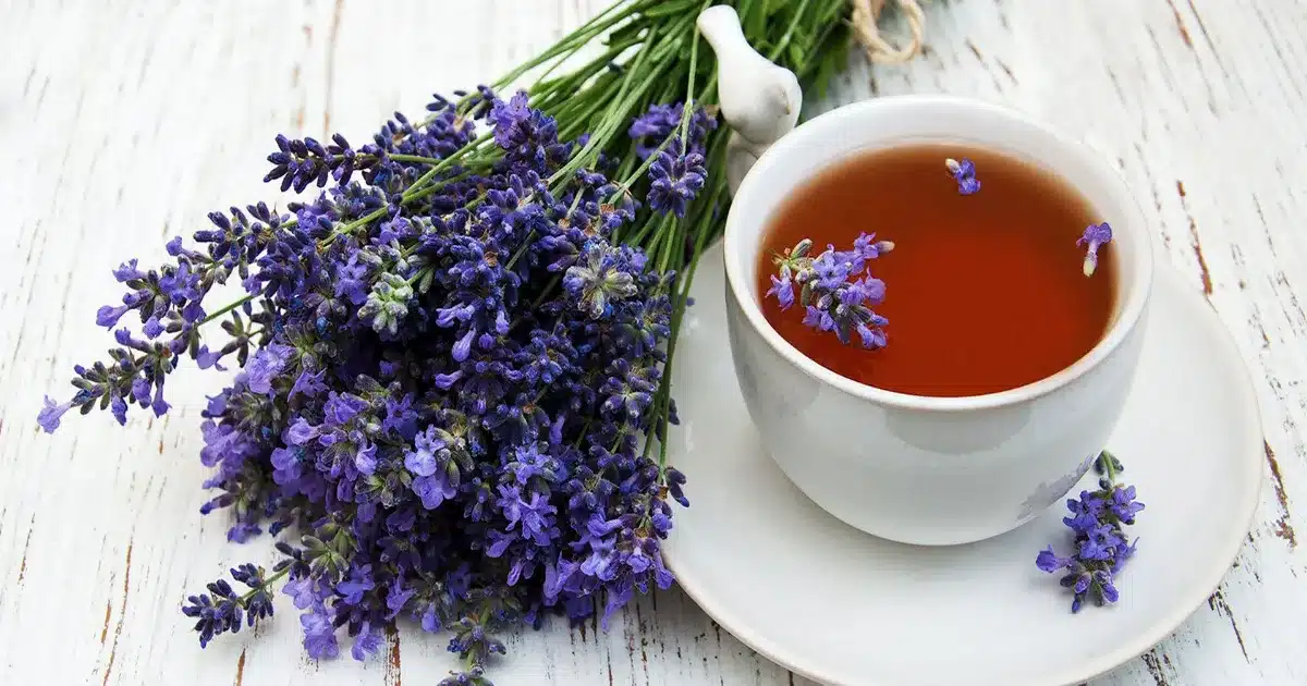 Best Lavender Tea