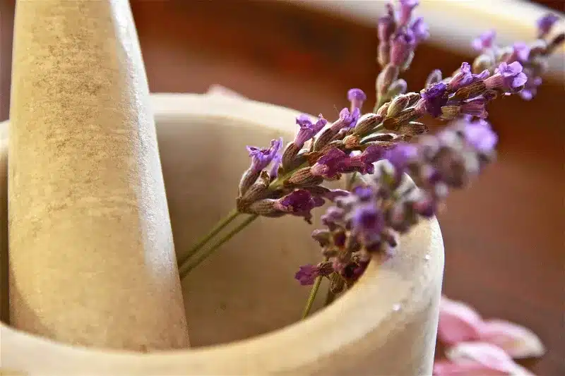 best lavender tea