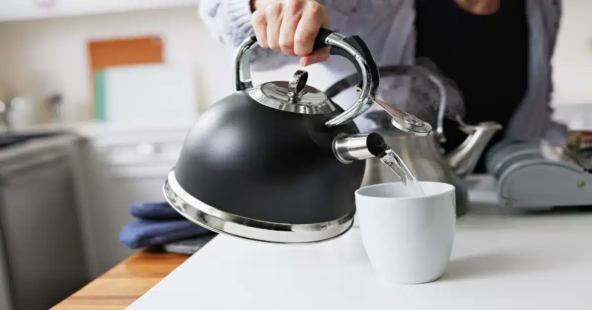 best stainless steel tea kettle