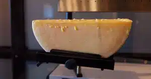 cheese machinery